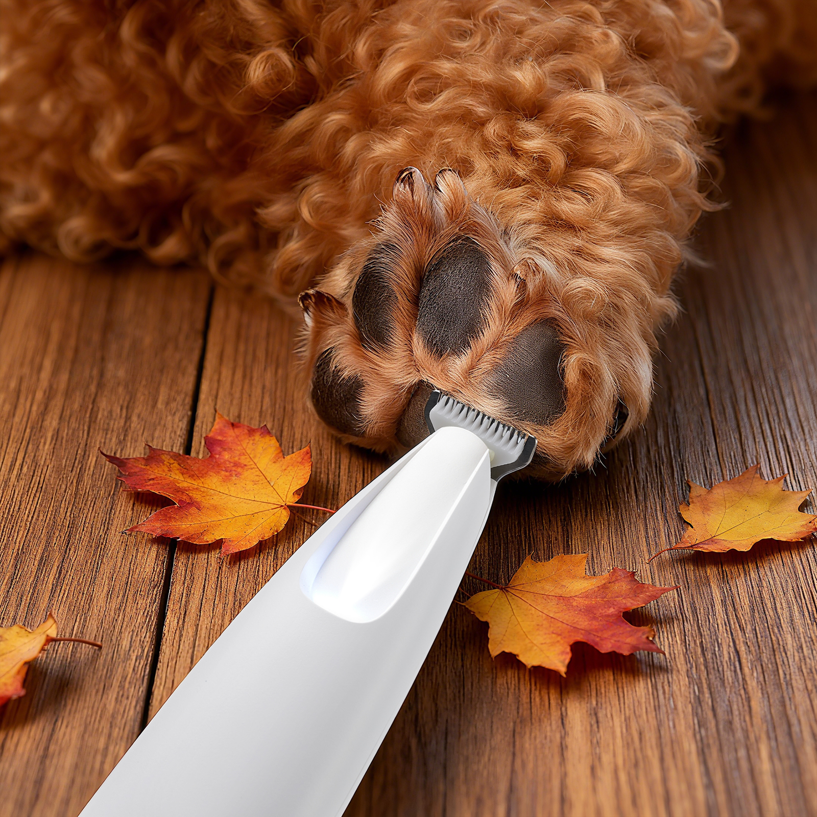 BarberBoss Pet Detail Trimmer and Clipper