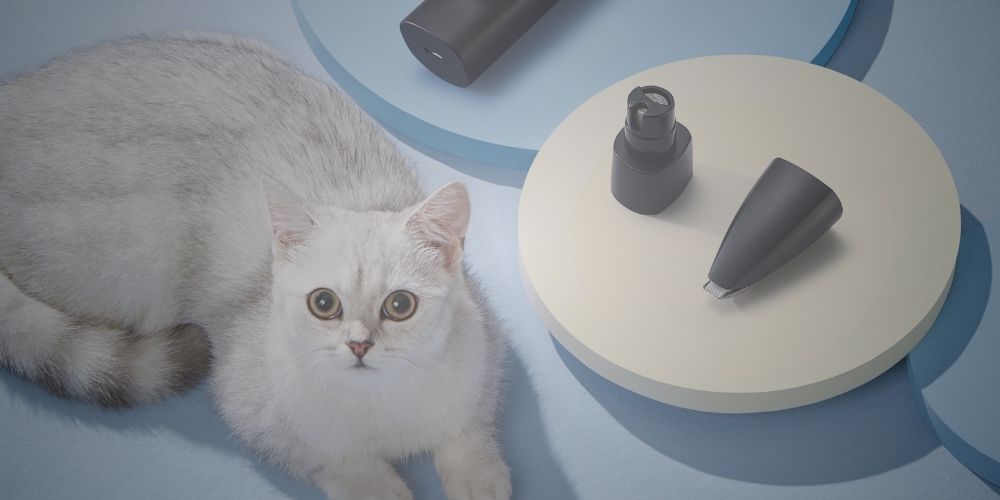 Cat Hair Types Guide: Find the Perfect Grooming Tools for Your Buddy - BarberBoss | Look Your Best, Everyday