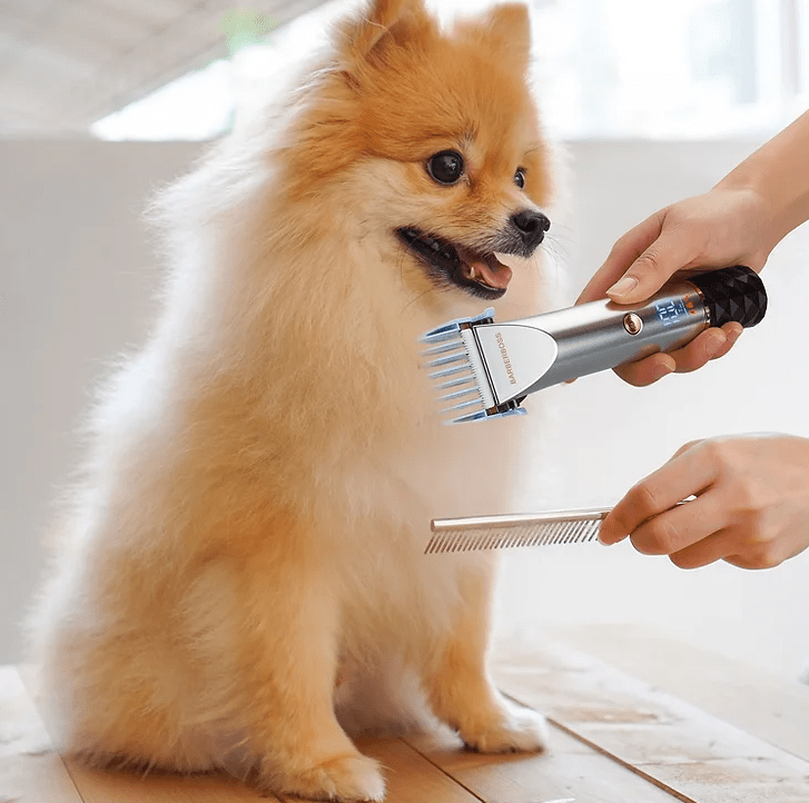 The Ultimate Guide to Using Pet Trimmers for First-Time Users - BarberBoss | Look Your Best, Everyday