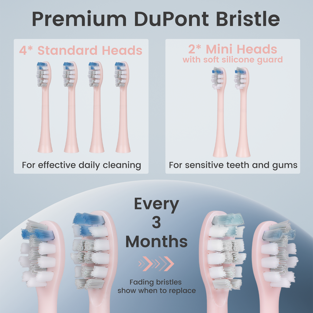 BarberBoss QR-7303 Replacement Toothbrush Heads (Pink, Pack of 6)