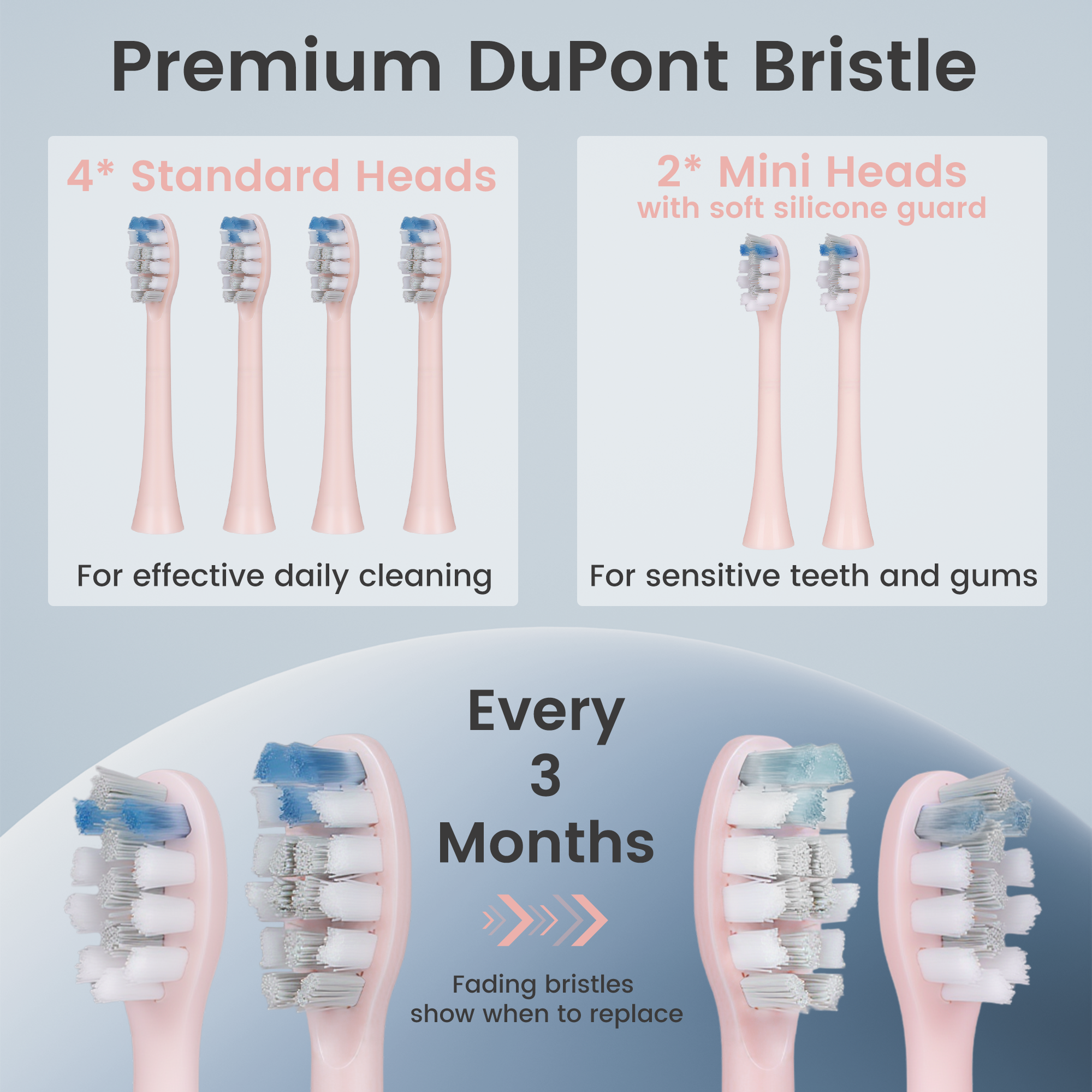 BarberBoss QR-7303 Replacement Toothbrush Heads (Pink, Pack of 6)