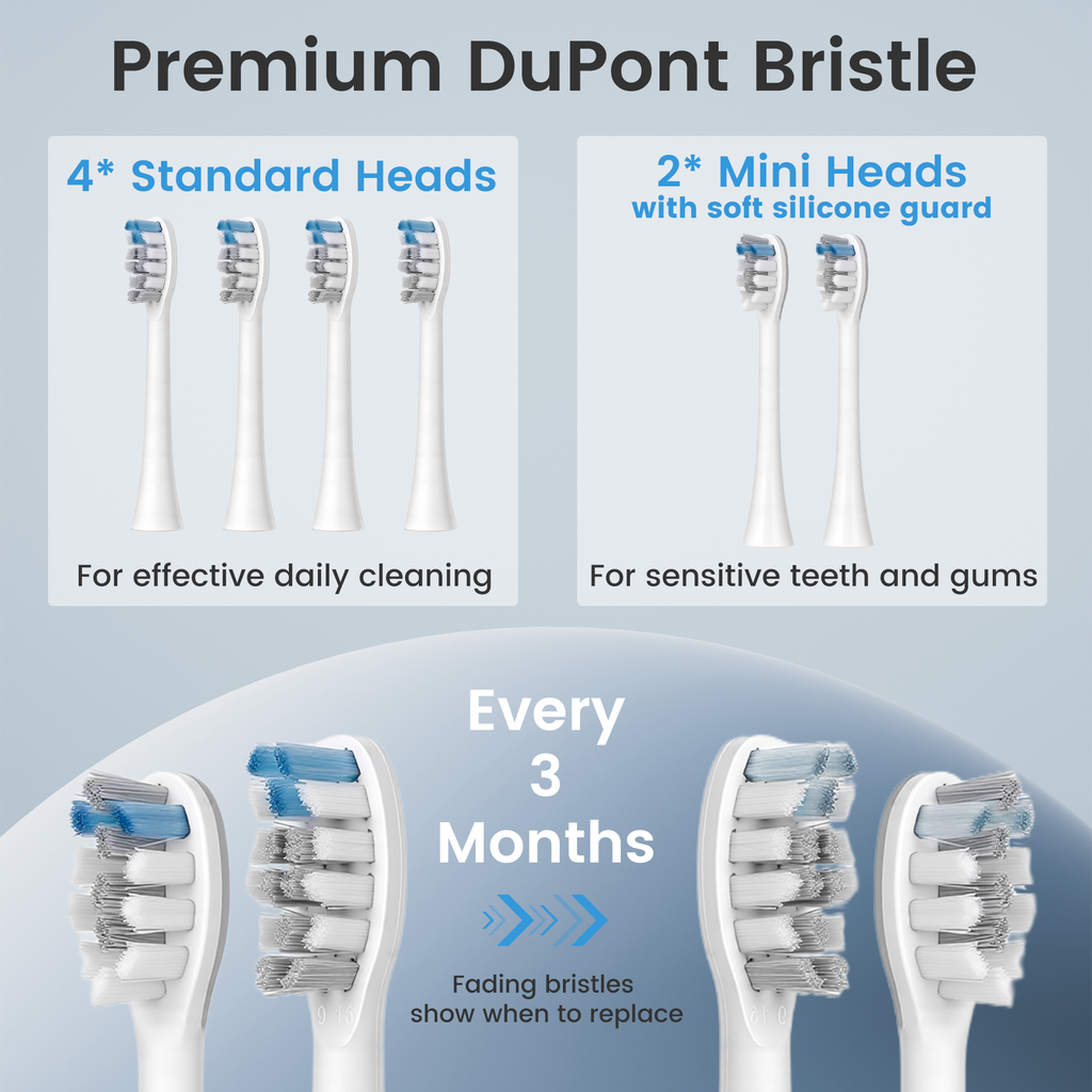 BarberBoss QR-7301 Replacement Toothbrush Heads (White, Pack of 6)
