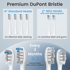 BarberBoss QR-7301 Replacement Toothbrush Heads (White, Pack of 6)