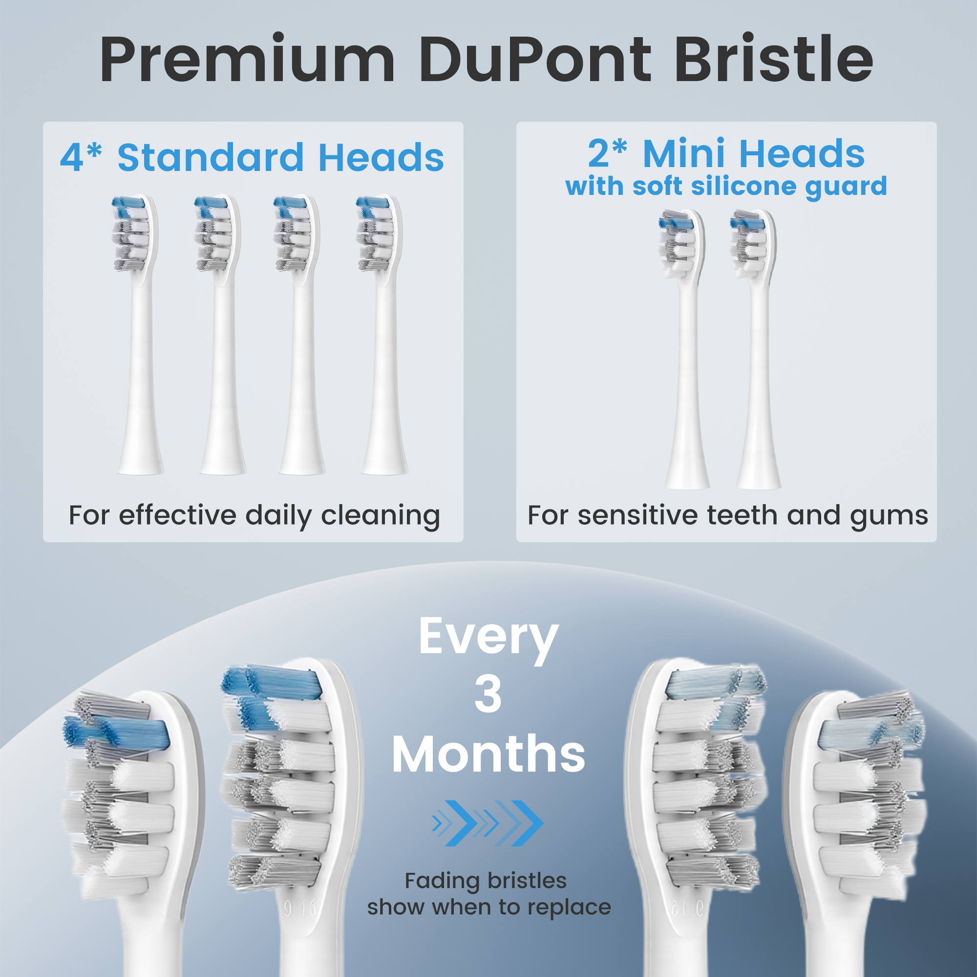 BarberBoss QR-7301 Replacement Toothbrush Heads (White, Pack of 6)