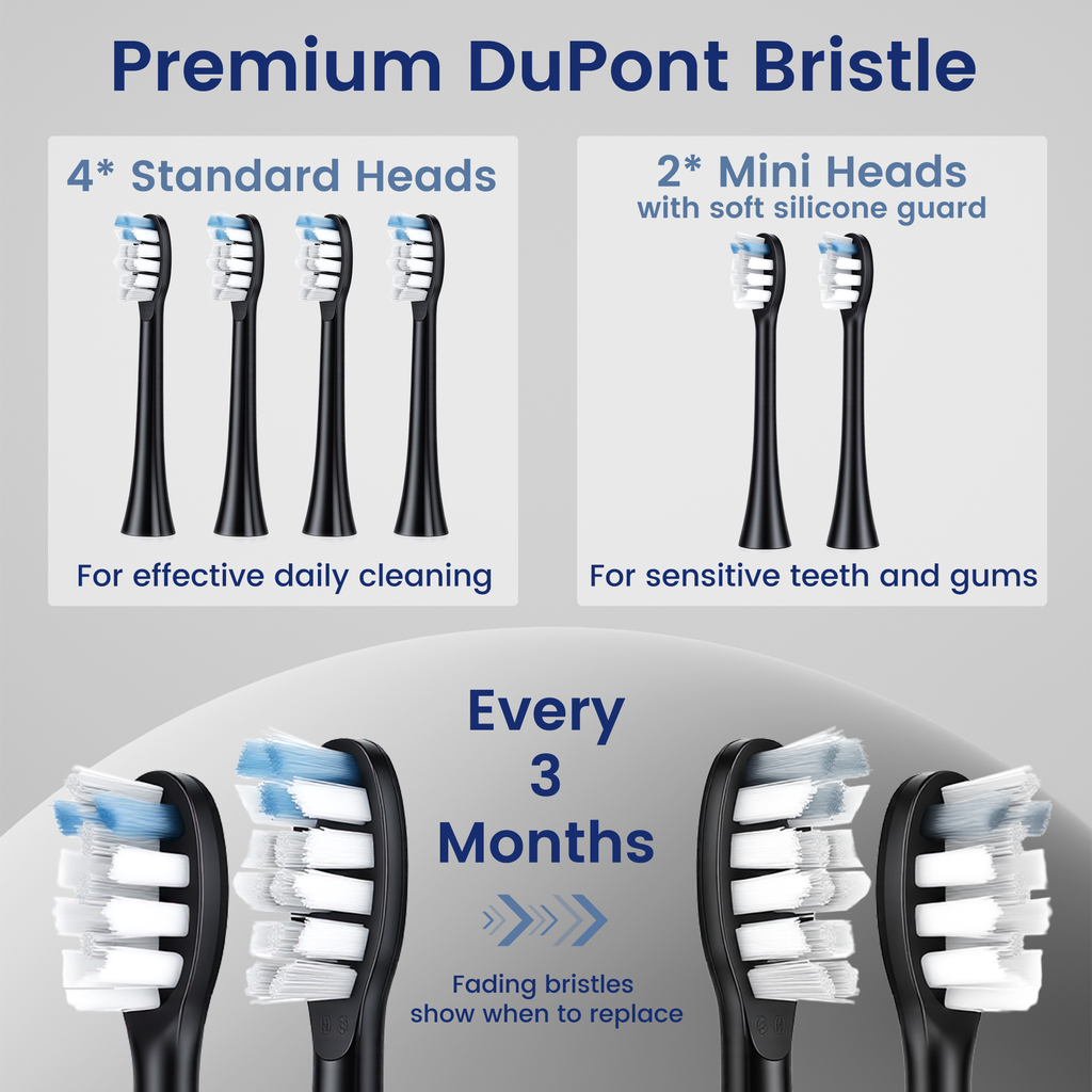 BarberBoss QR-7302 Replacement Toothbrush Heads (Black, Pack of 6)