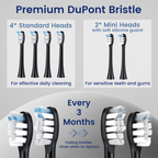 BarberBoss QR-7302 Replacement Toothbrush Heads (Black, Pack of 6)