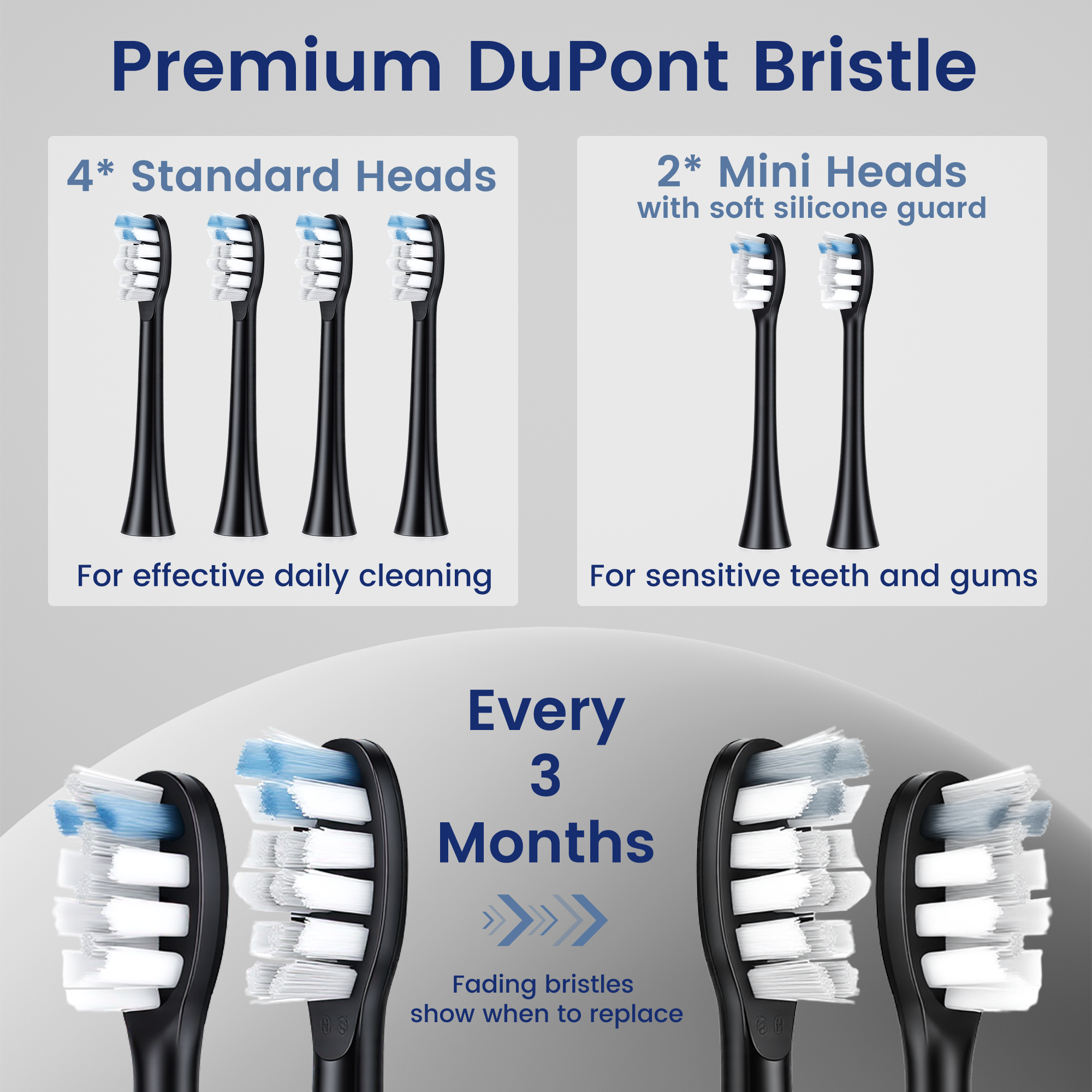 BarberBoss QR-7302 Replacement Toothbrush Heads (Black, Pack of 6)