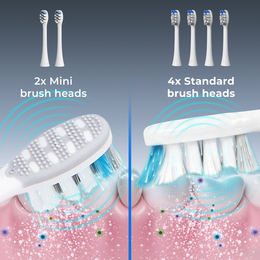 BarberBoss QR-7301 Replacement Toothbrush Heads (White, Pack of 6)