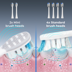 BarberBoss QR-7301 Replacement Toothbrush Heads (White, Pack of 6)