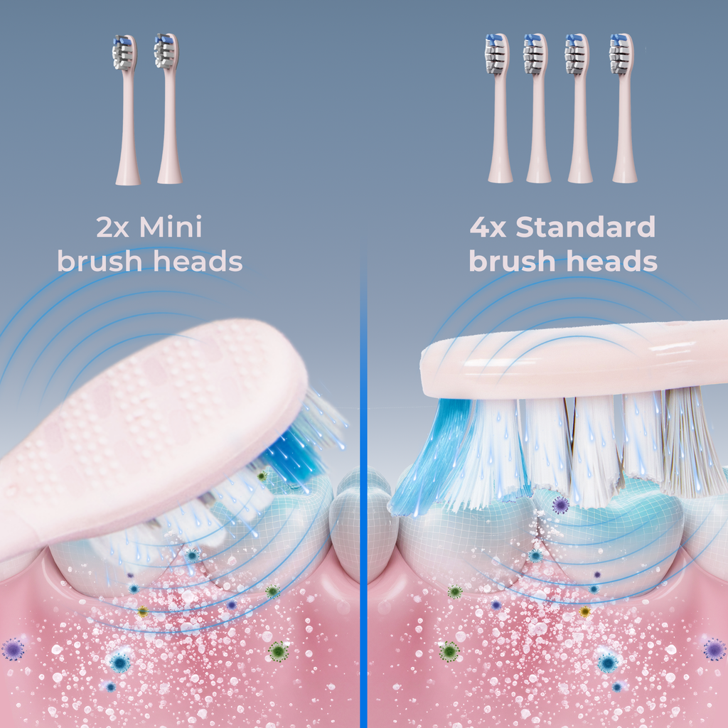 BarberBoss QR-7303 Replacement Toothbrush Heads (Pink, Pack of 6)