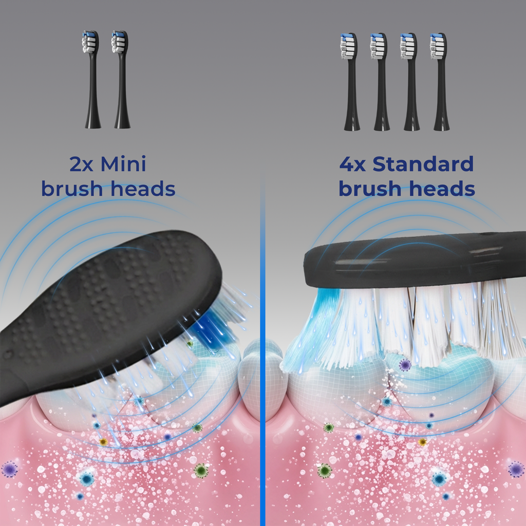 BarberBoss QR-7302 Replacement Toothbrush Heads (Black, Pack of 6)