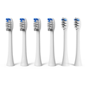 BarberBoss QR-7301 Replacement Toothbrush Heads (White, Pack of 6)