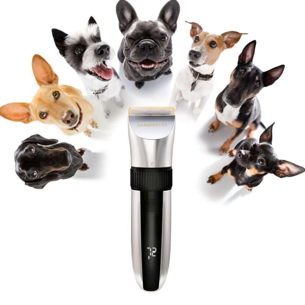 Photo inspiration: Visual Reference: Barberboss Pet Qr 9082 Professional Dog Grooming Clippers Kit